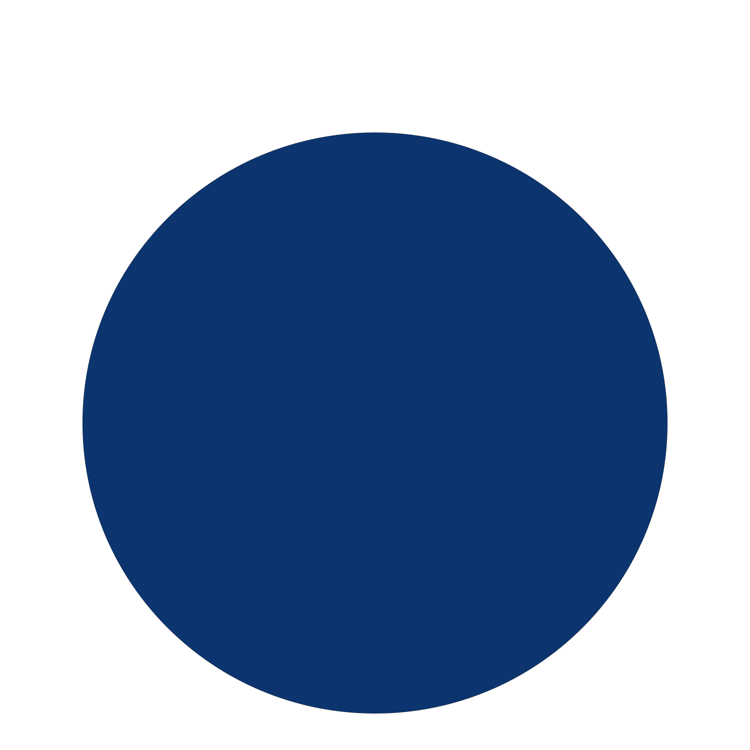 blank andisa it